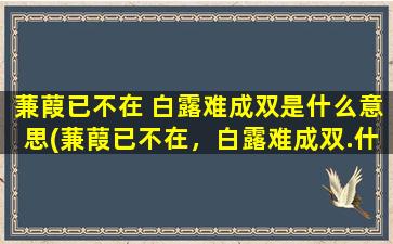 蒹葭已不在 白露难成双是什么意思(蒹葭已不在，白露难成双.什么意思)